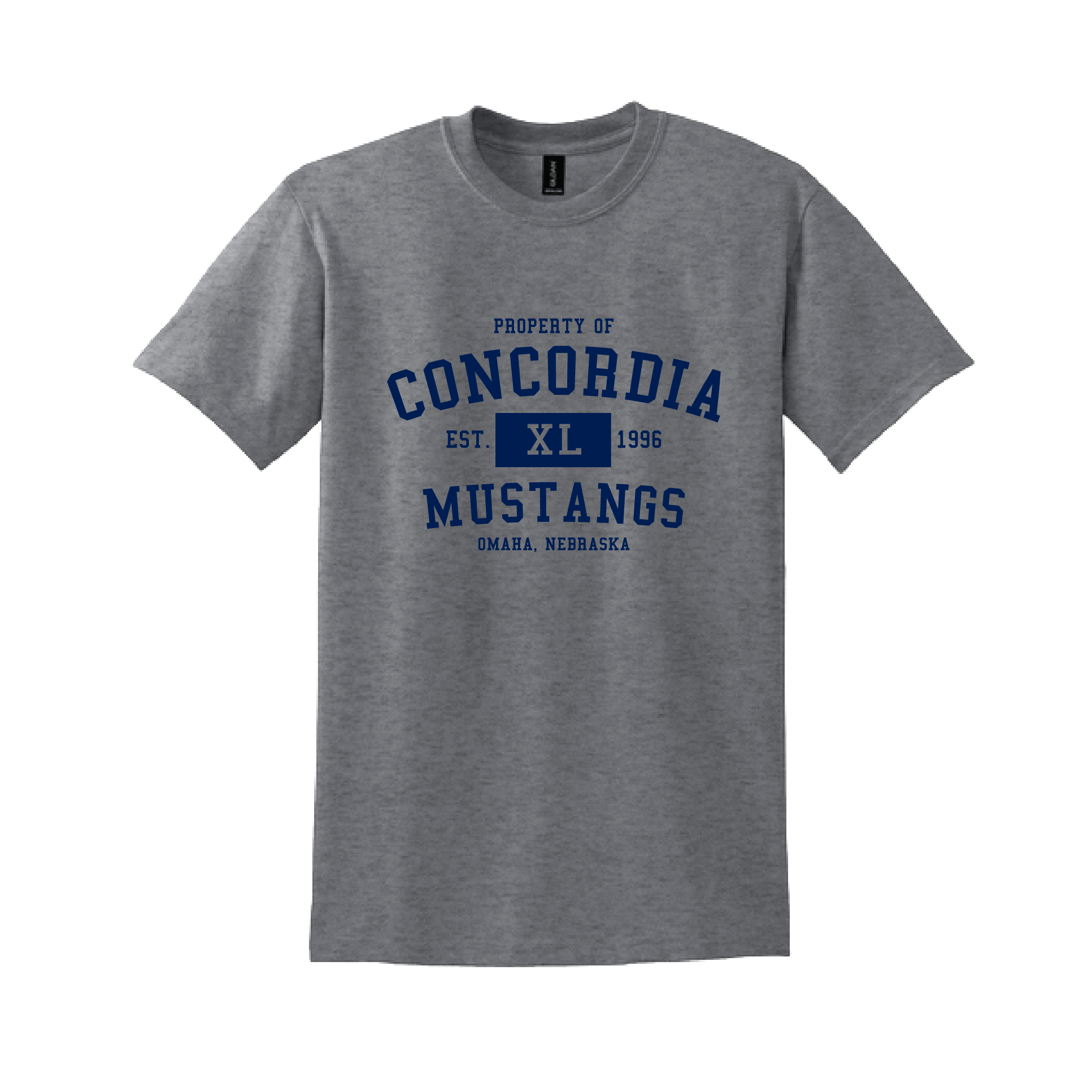 CLSO Gray T-Shirt | "XL"